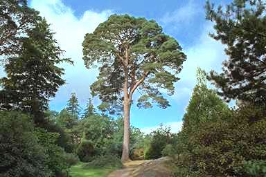 [Image 000828 cd05 img0032]