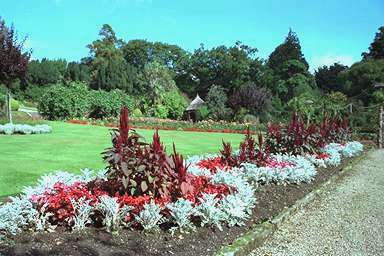 [Image 000831 cd05 img0035]