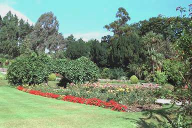 [Image 000832 cd05 img0036]