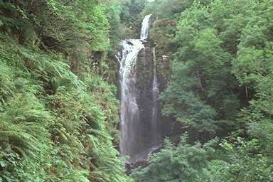 [Image 000842 cd05 img0046]
