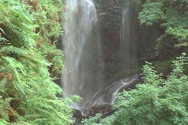 [Image 000843 cd05 img0047]