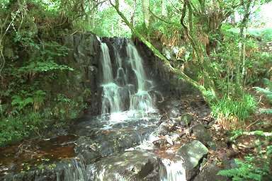 [Image 000846 cd05 img0050]