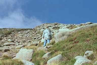 [Image 000852 cd05 img0056]
