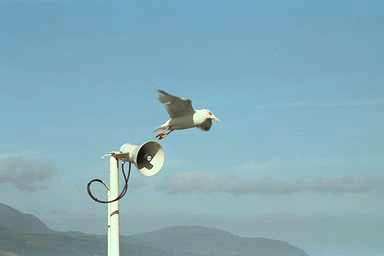 [Image 000860 cd05 img0064]