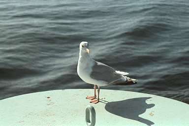 [Image 000861 cd05 img0065]