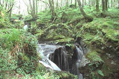 [Image 000865 cd05 img0069]