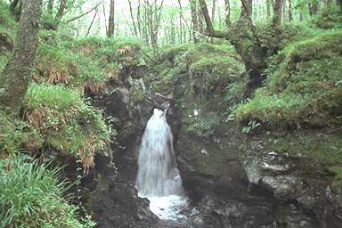 [Image 000866 cd05 img0070]