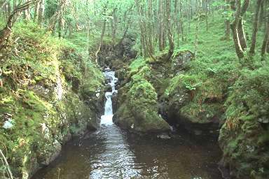 [Image 000867 cd05 img0071]