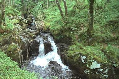 [Image 000868 cd05 img0072]