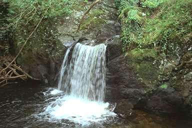 [Image 000869 cd05 img0073]