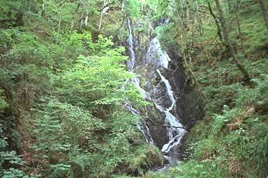 [Image 000872 cd05 img0076]
