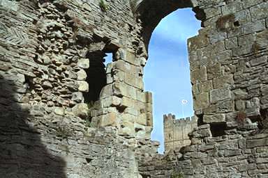 [Image 000877 cd05 img0081]