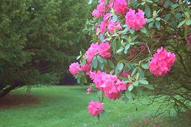 [Image 000003 cd06 img0003]