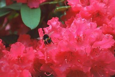 [Image 000014 cd06 img0014]