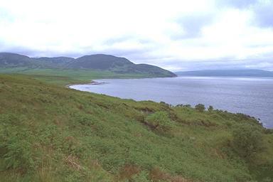 [Image 000022 cd06 img0022]