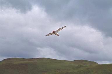[Image 000023 cd06 img0023]