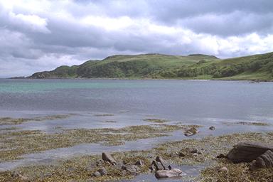 [Image 000025 cd06 img0025]