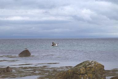 [Image 000027 cd06 img0027]