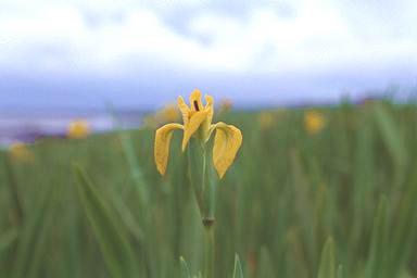 [Image 000033 cd06 img0033]