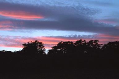 [Image 000045 cd06 img0045]