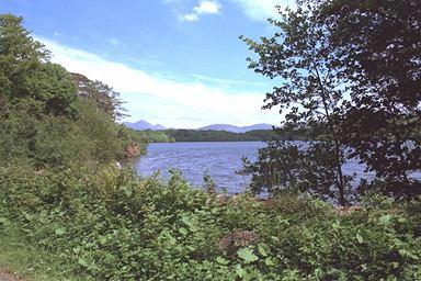 [Image 000076 cd06 img0076]