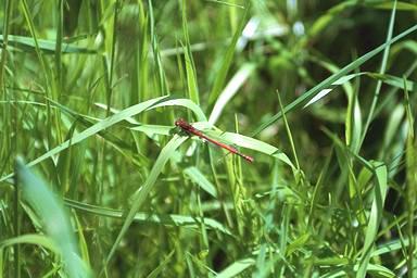 [Image 000079 cd06 img0079]