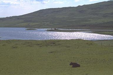 [Image 000089 cd06 img0089]