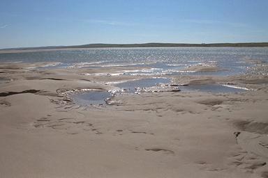 [Image 000097 cd06 img0097]