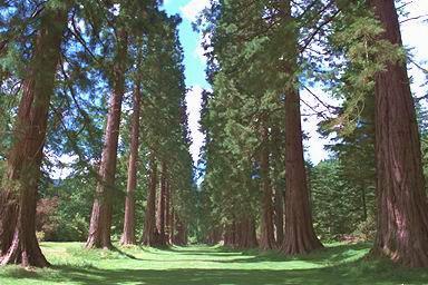 [Image 000113 cd07 img0013]