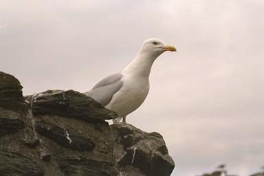 [Image 000123 cd07 img0023]