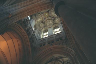 [Image 000142 cd08 img0005]