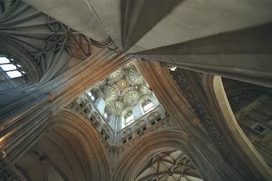 [Image 000146 cd08 img0009]