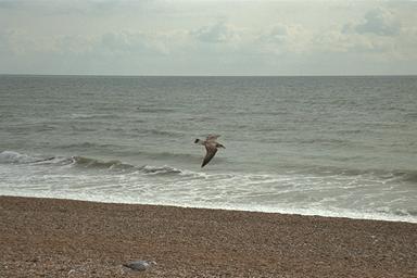 [Image 000164 cd08 img0027]