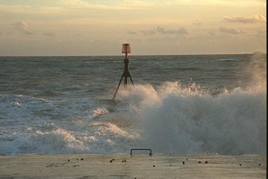 [Image 000173 cd08 img0036]