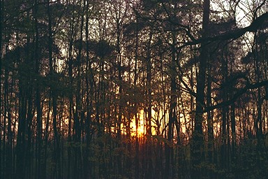 [Image 001214 cd10 img0005]