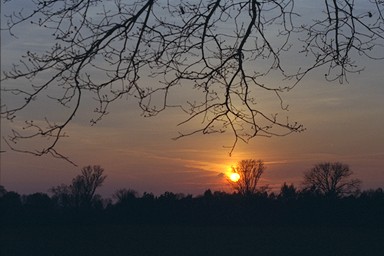 [Image 001215 cd10 img0006]