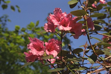 [Image 001216 cd10 img0007]