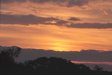 [Image 001218 cd10 img0009]