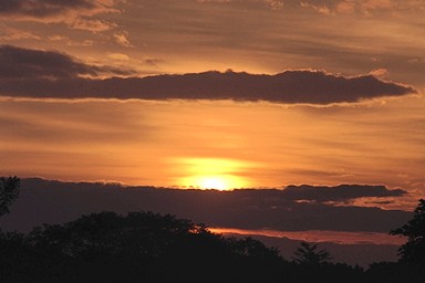 [Image 001219 cd10 img0010]