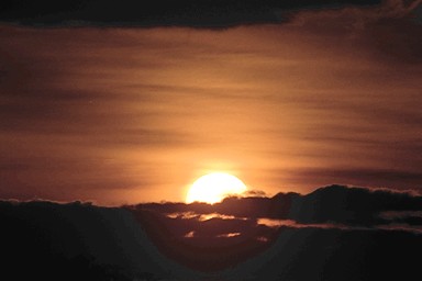 [Image 001220 cd10 img0011]