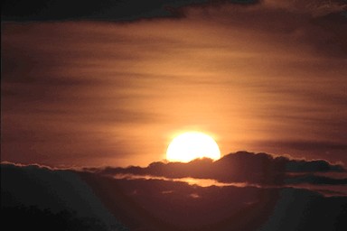 [Image 001221 cd10 img0012]