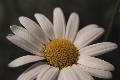 [Image 001222 cd10 img0013]