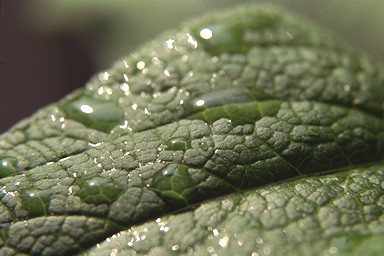 [Image 001224 cd10 img0015]