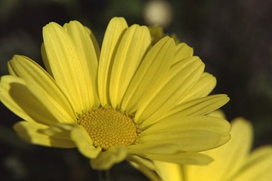 [Image 001225 cd10 img0016]