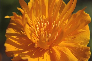 [Image 001226 cd10 img0017]