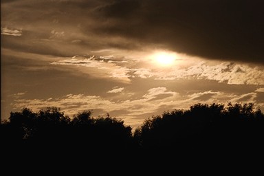 [Image 001228 cd10 img0019]