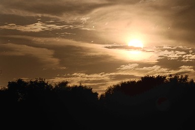 [Image 001229 cd10 img0020]