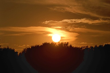 [Image 001230 cd10 img0021]