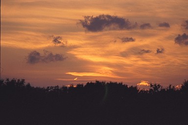 [Image 001231 cd10 img0022]