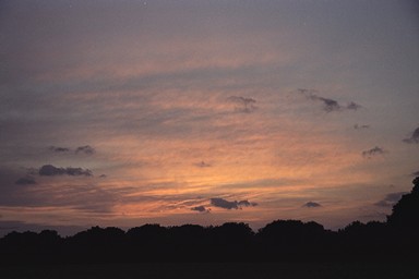 [Image 001232 cd10 img0023]